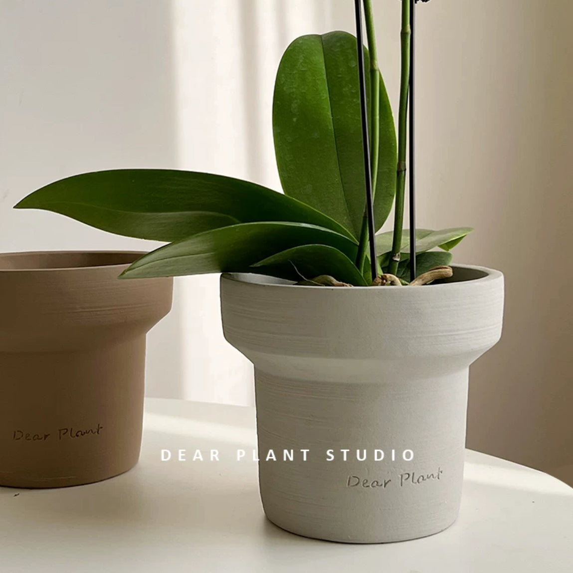 13cm plant pot Dear Planter (13cm) without Saucer – Pulpy Garden