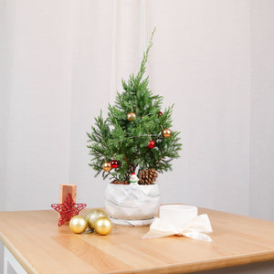 PRE-ORDER Christmas Pine (Small)