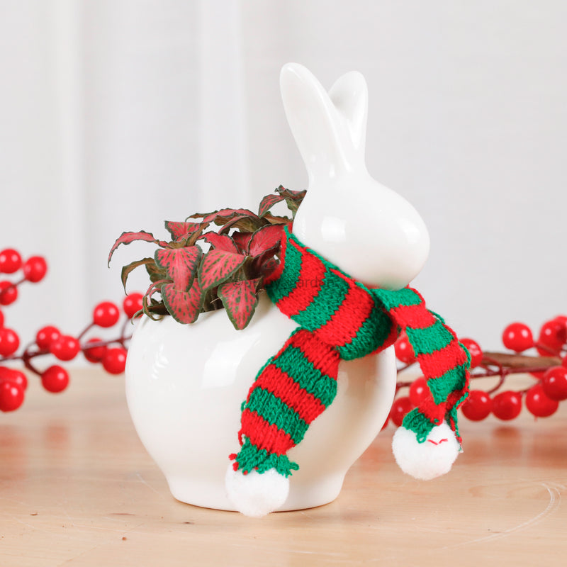 Christmas Bunny