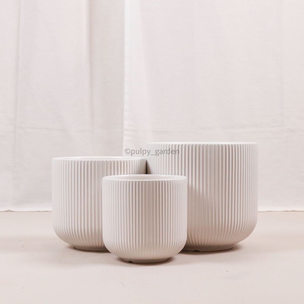 Large Aura Planter White (3 Sizes)