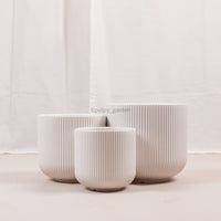 Large Aura Planter White (3 Sizes)