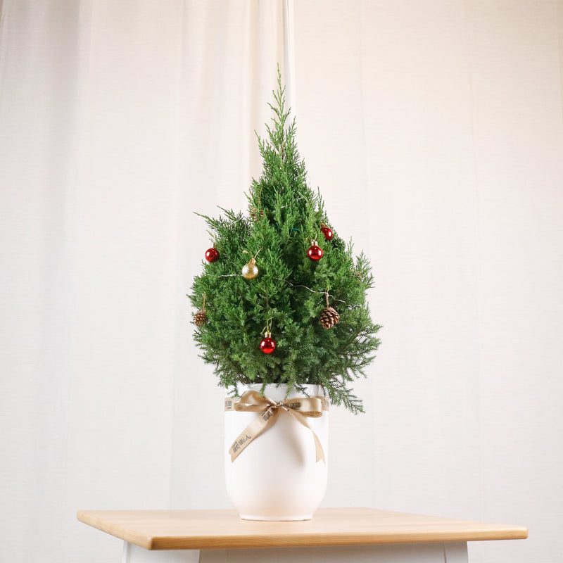 Large Sparkle Christmas Pine (85cm)