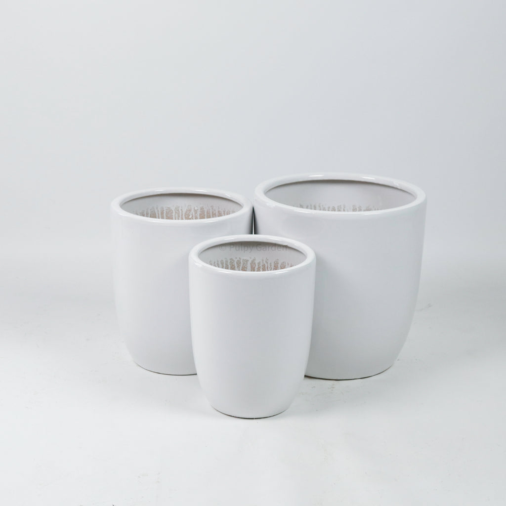 Large Alba Planter (3 Sizes)
