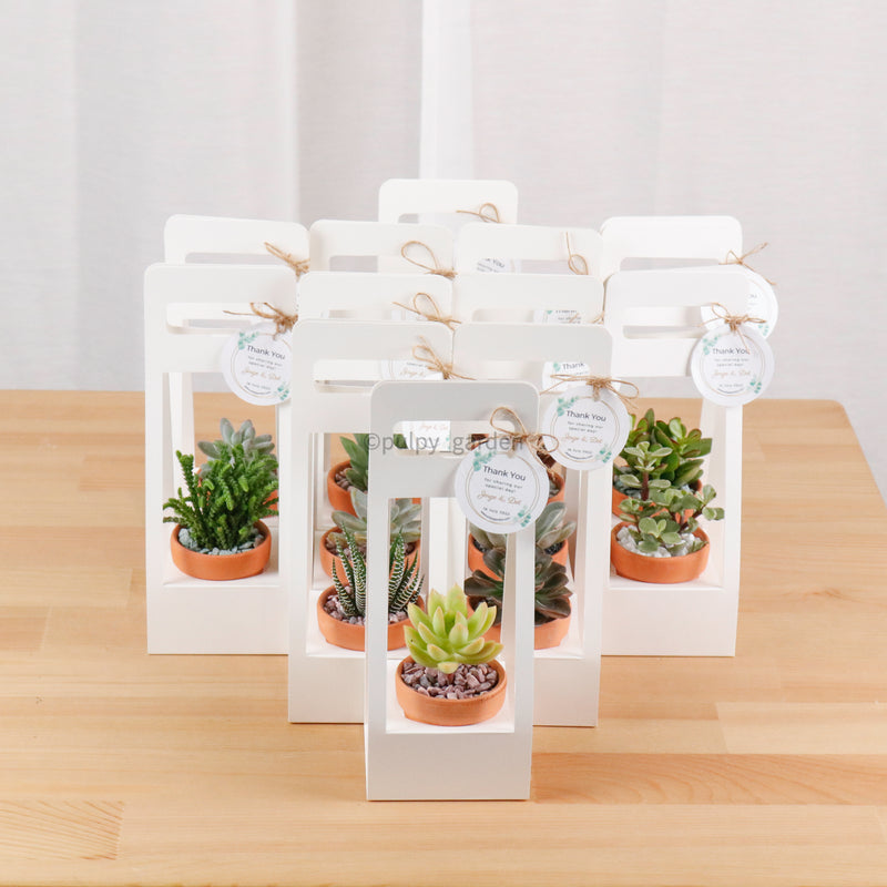 TerraSucc Gift Set