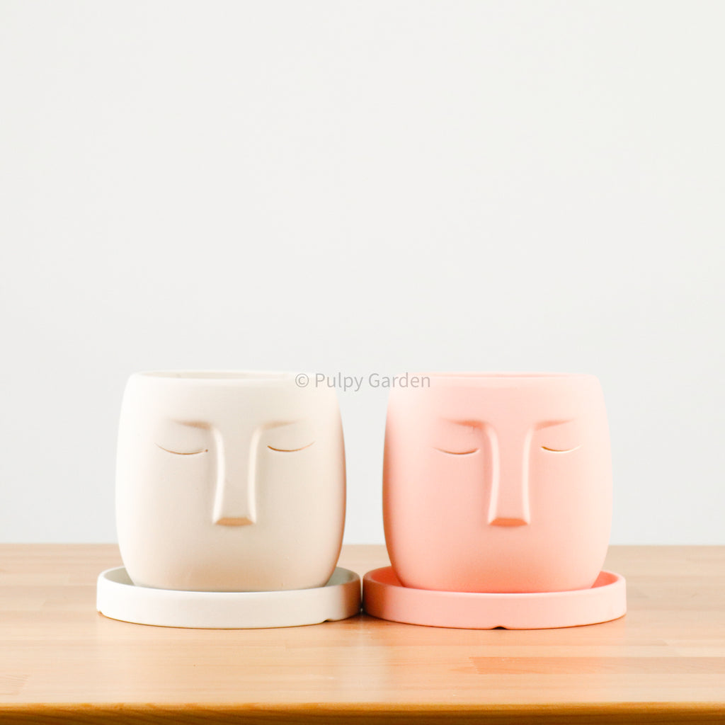 Nordic Serene Face Planter