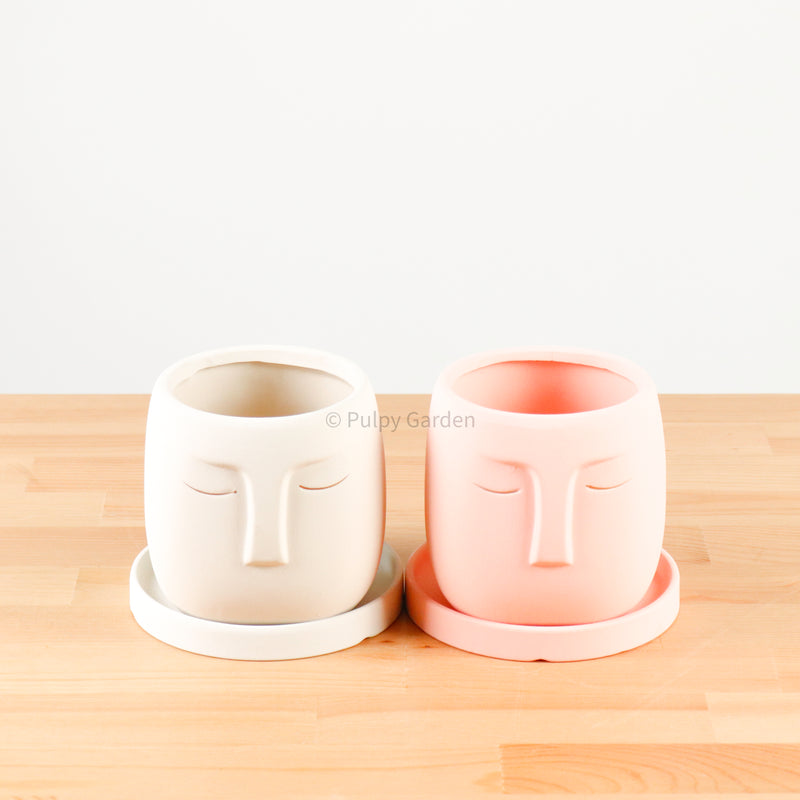 Nordic Serene Face Planter