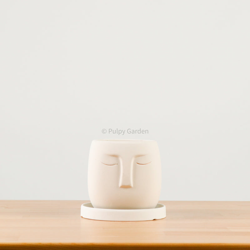 Nordic Serene Face Planter