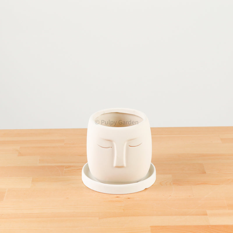 Nordic Serene Face Planter
