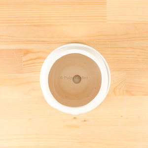 Nordic Serene Face Planter