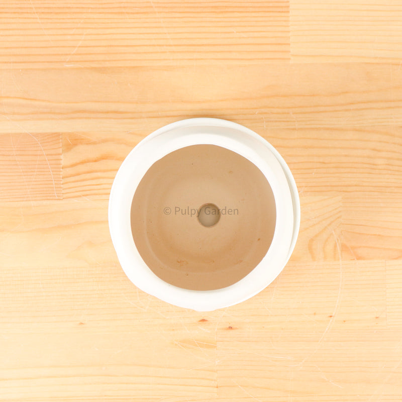 Nordic Serene Face Planter