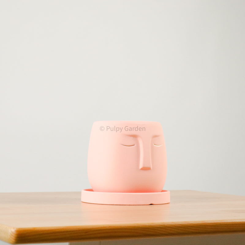 Nordic Serene Face Planter