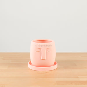 Nordic Serene Face Planter