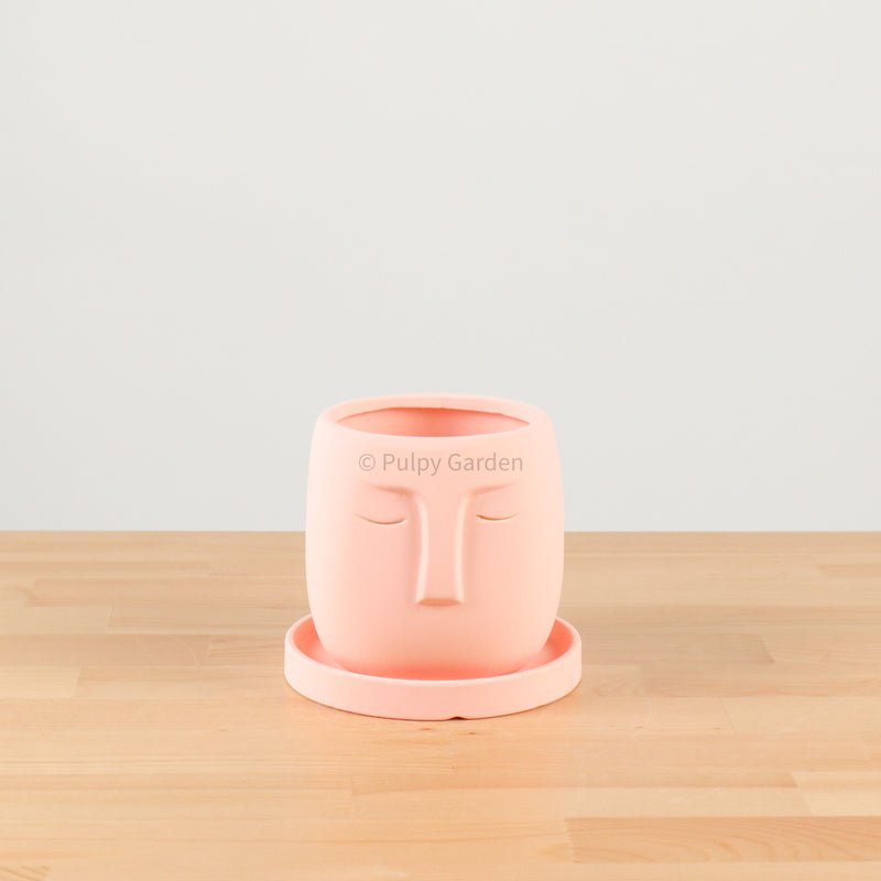 Nordic Serene Face Planter