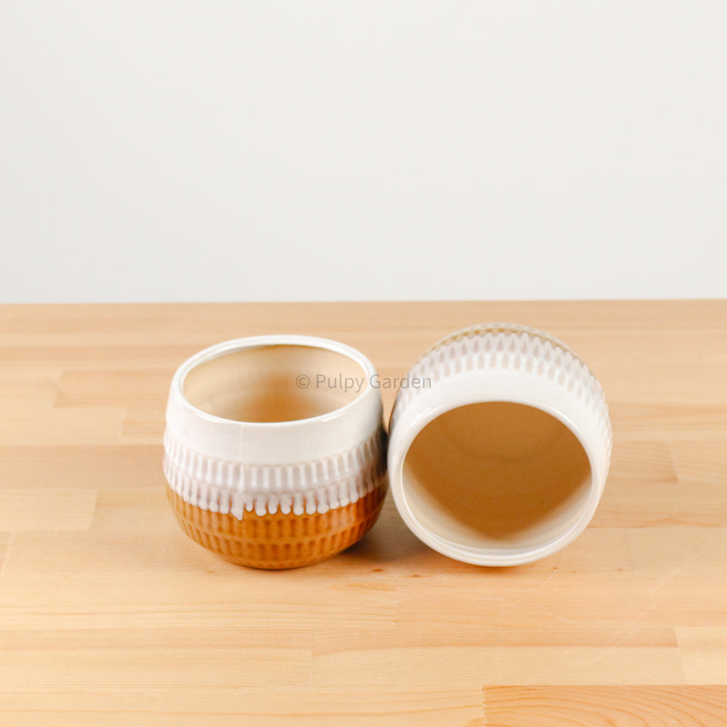 Toffee Planter