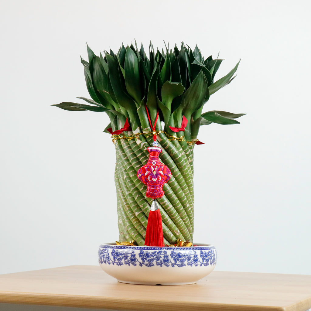 Lucky Bamboo Tower