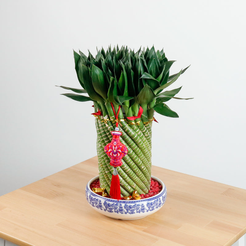 Lucky Bamboo Tower