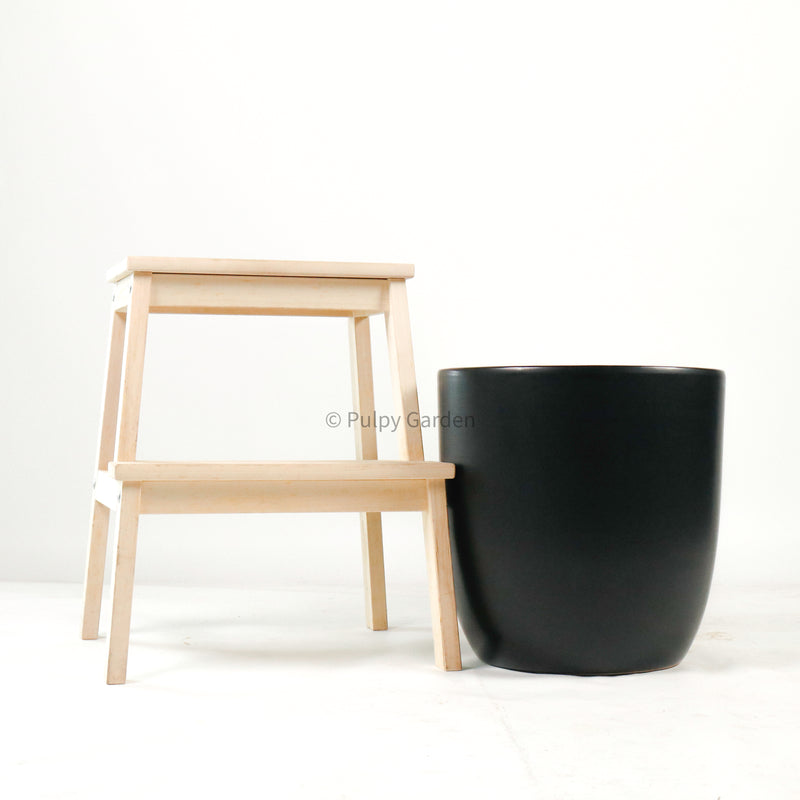 Large Alba Black Planter (3 Sizes)