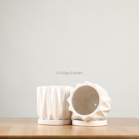 Tundra Planter with saucer