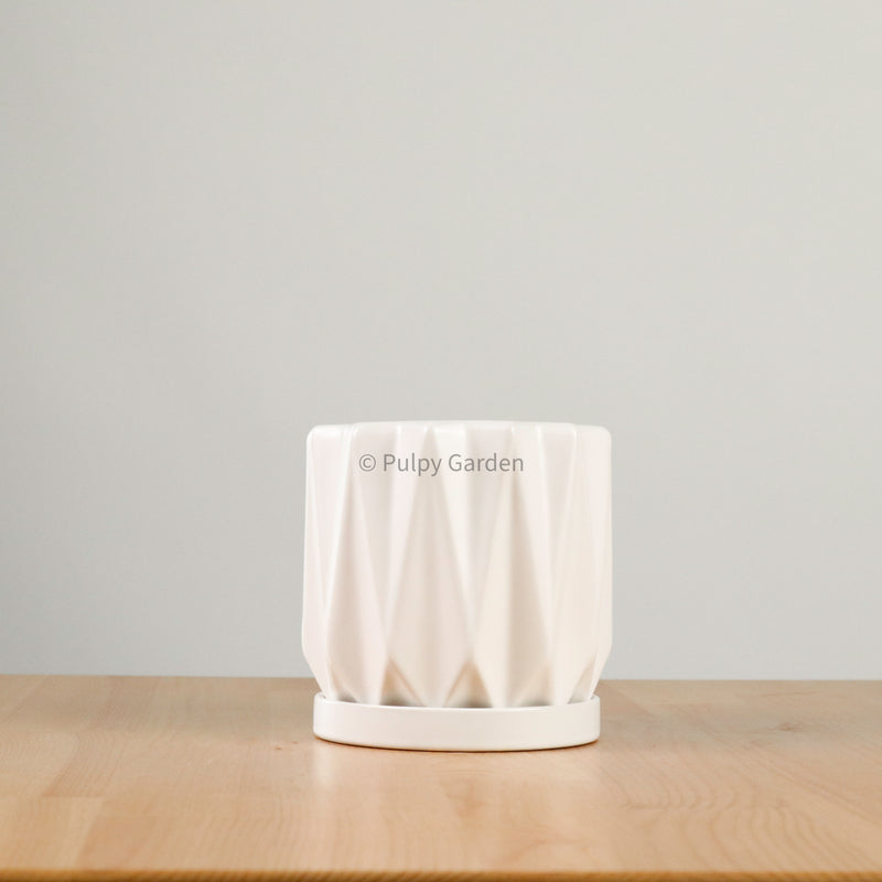 Tundra Planter with saucer