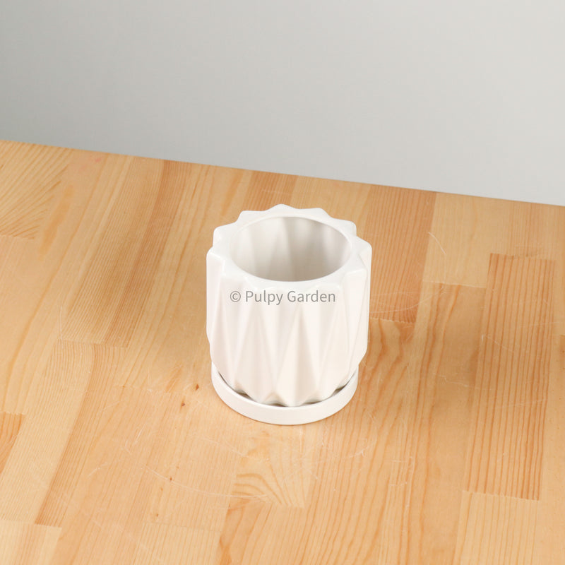 Tundra Planter with saucer