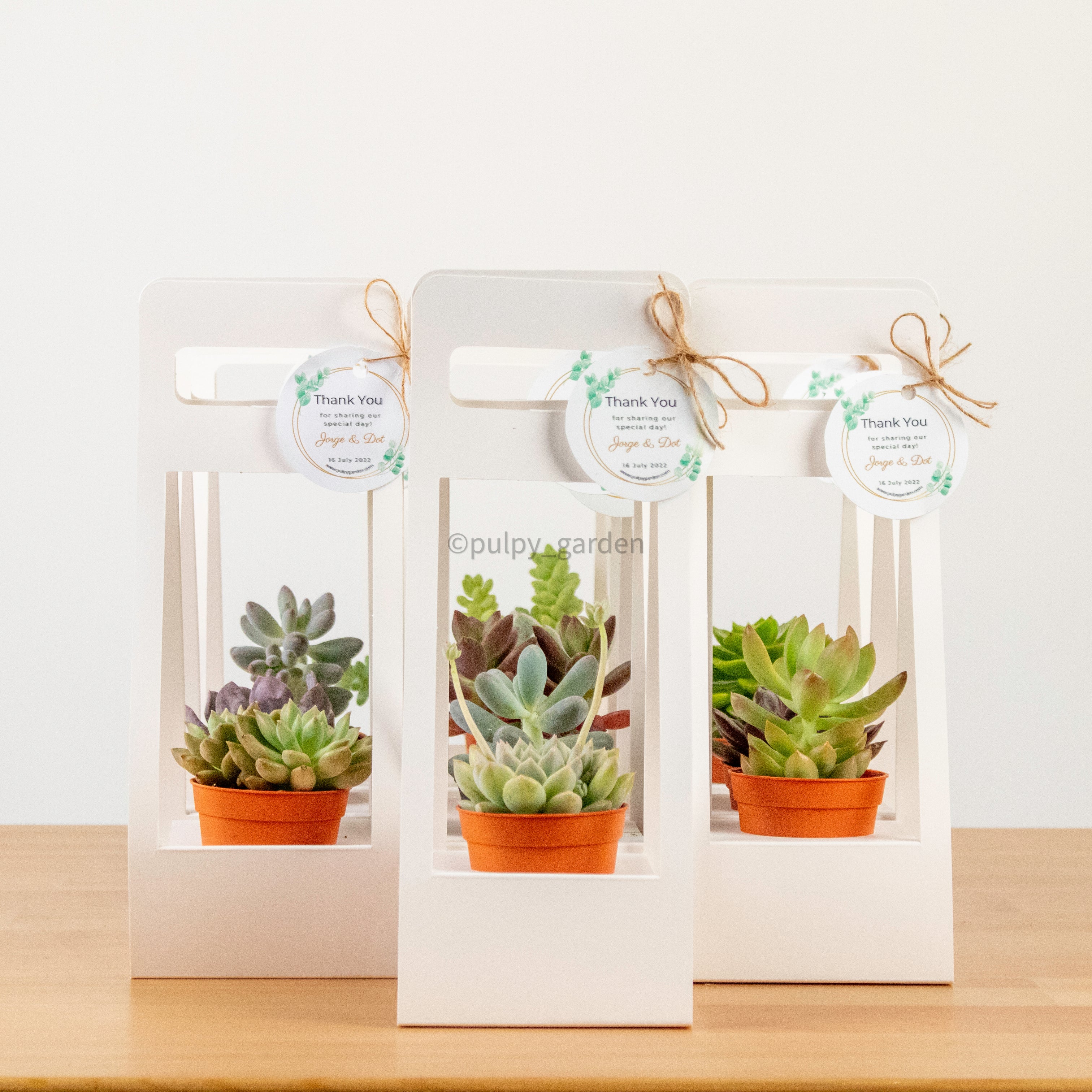 succulent door decs Succulents Door Gift – Pulpy Garden