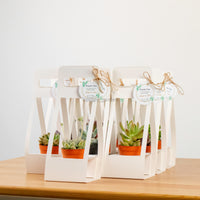 Succulents Door Gift