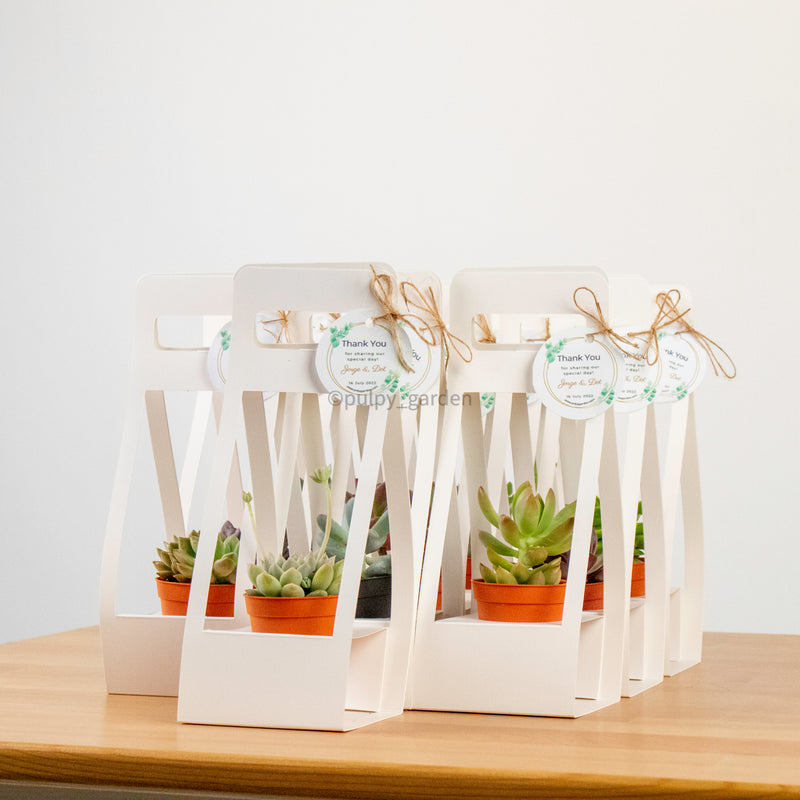 giving succulents as a gift Succulents Door Gift – Pulpy Garden