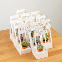 Succulents Door Gift