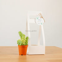 Succulents Door Gift