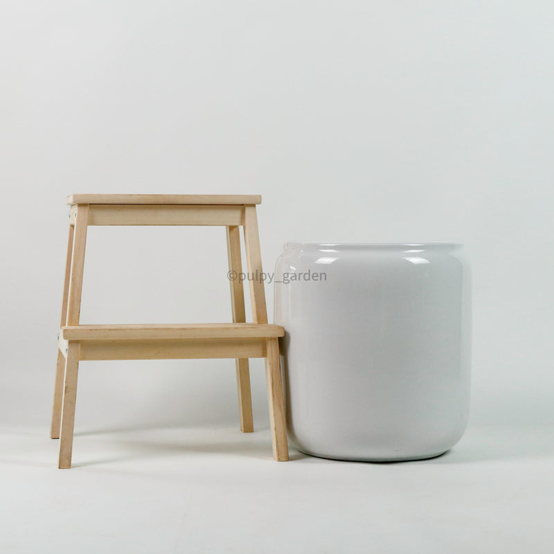 Large Soda Planter White (2 Sizes)