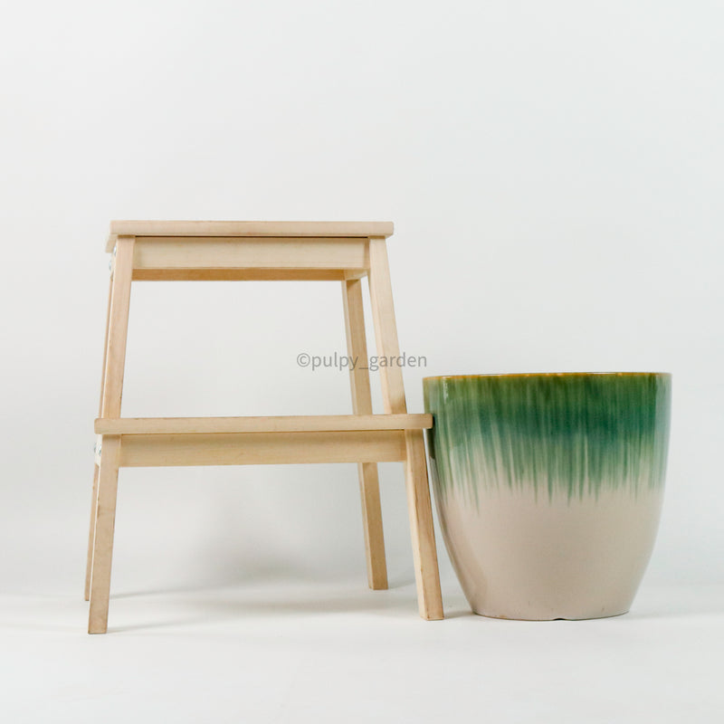 Large Tasseled Planter (3 Sizes)