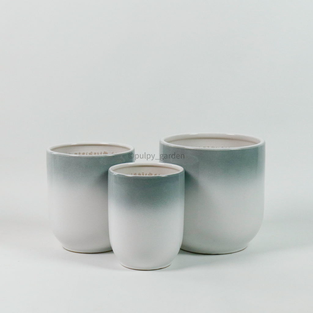 Large Gradeint Planter (3 Sizes)