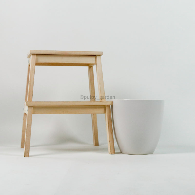 Large Milano Planter White (3 Sizes)