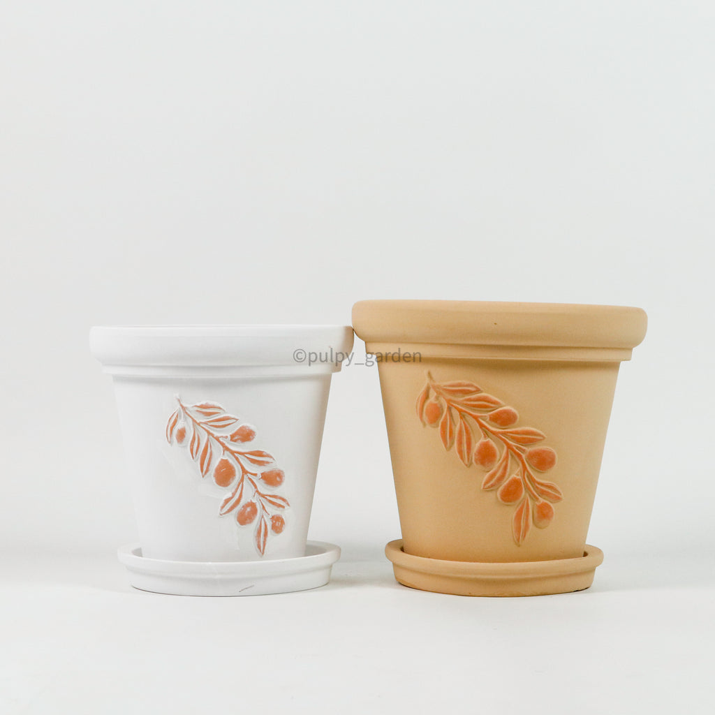 Festonata Planter (2 Sizes)