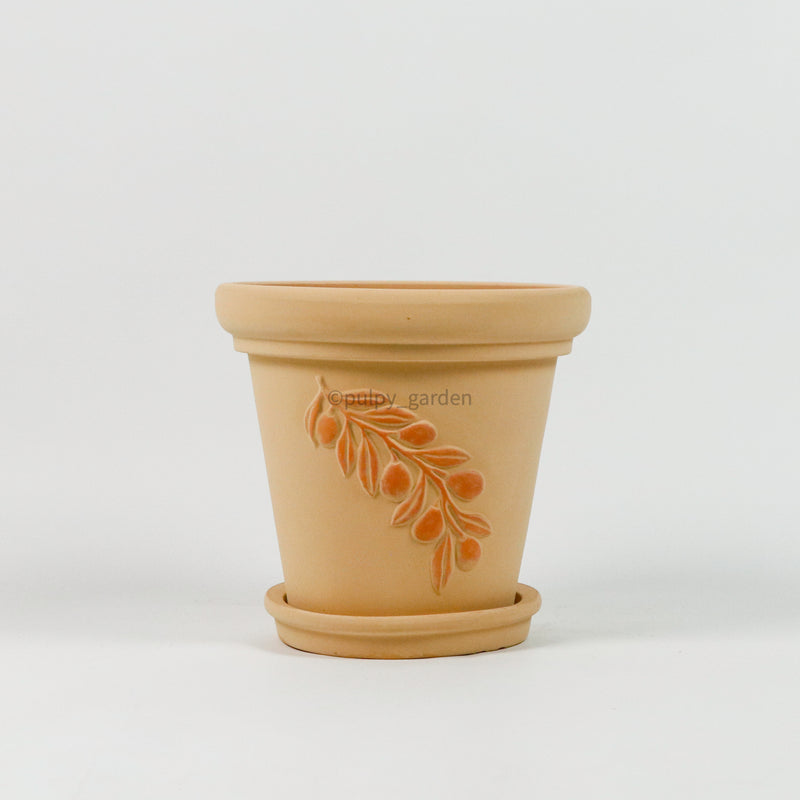 Festonata Planter (2 Sizes)