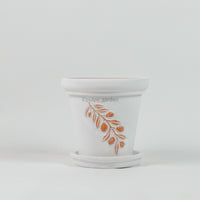Festonata Planter (2 Sizes)
