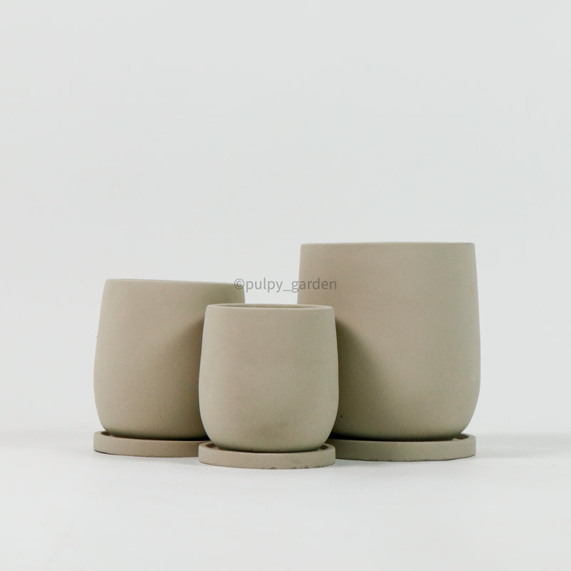 Oval Concrete Planters with saucer