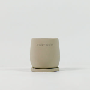 Oval Concrete Planters with saucer