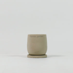 Oval Concrete Planters with saucer