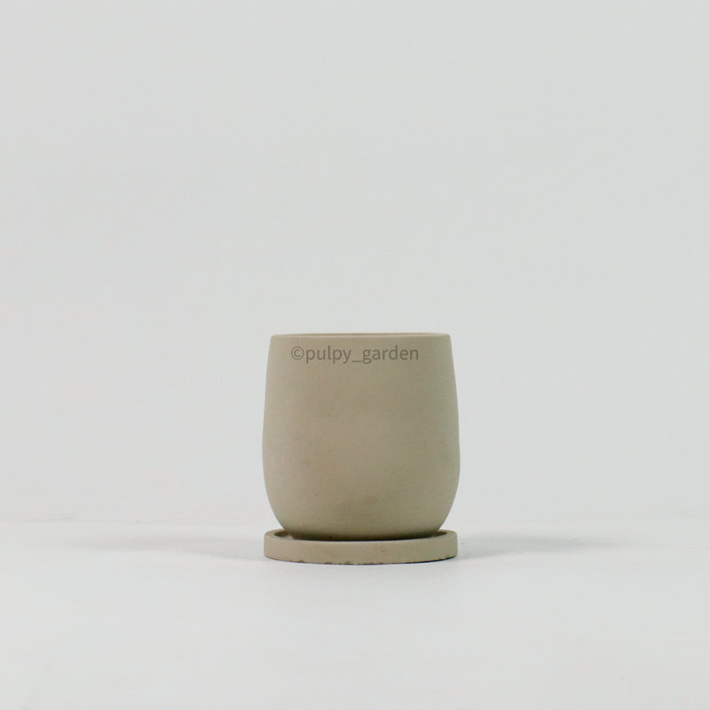 Oval Concrete Planters with saucer