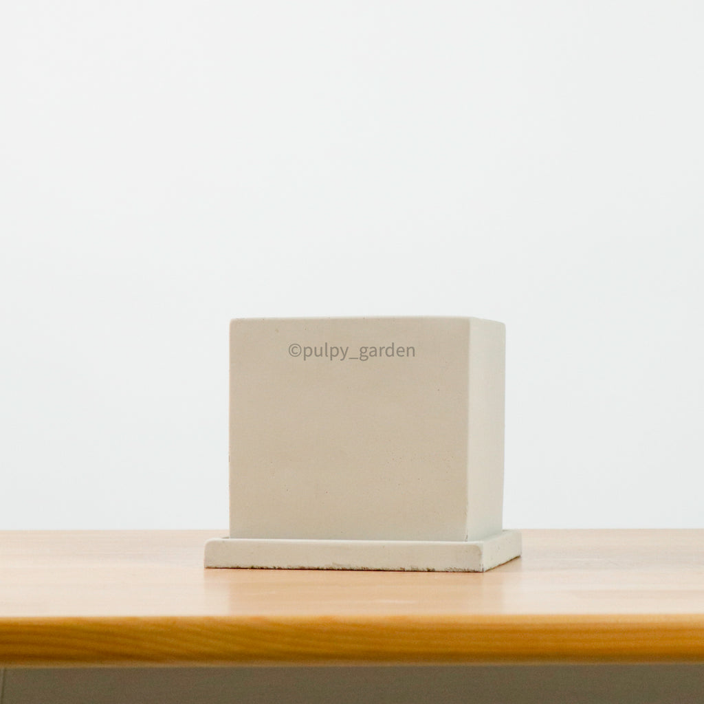Edgey Planter (11cm)