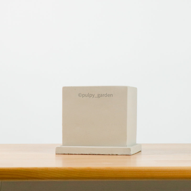 Edgey Planter (11cm)