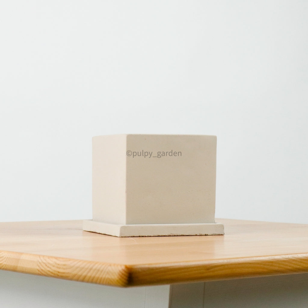 Edgey Planter (11cm)