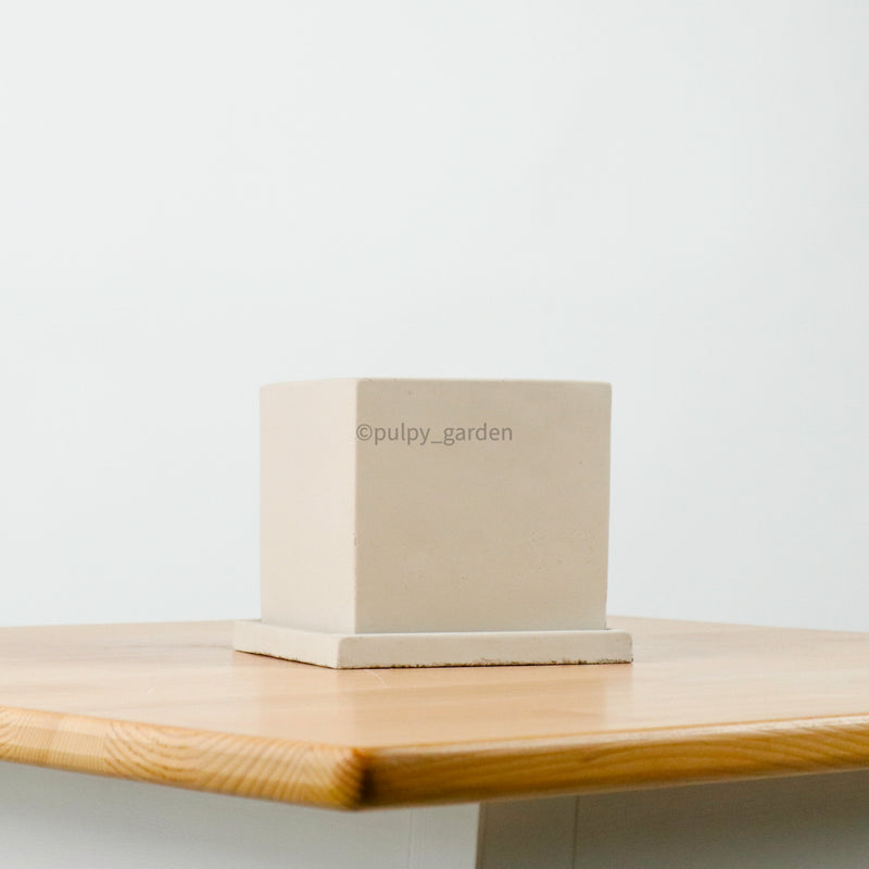 Edgey Planter (11cm)