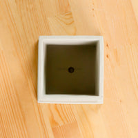 Edgey Planter (11cm)