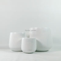 Arcadia Carbon Fiber Planter (3 Sizes)