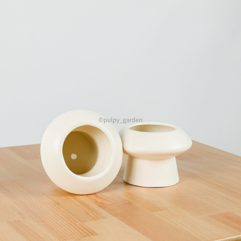 Halo (9cm) without Saucer