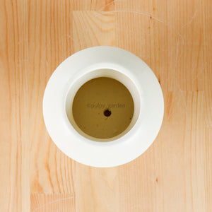 Halo (9cm) without Saucer