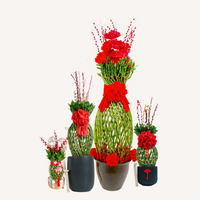 Lucky Bamboo Pineapple Braided (猪笼入水) (LIMITED) (4 sizes)