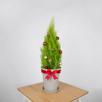 Christmas Pine